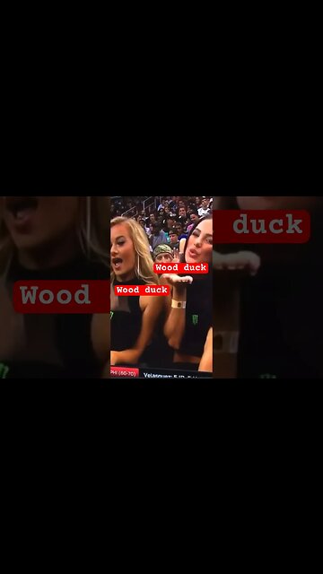 Why the Wood Ducks Fly With the Teal?