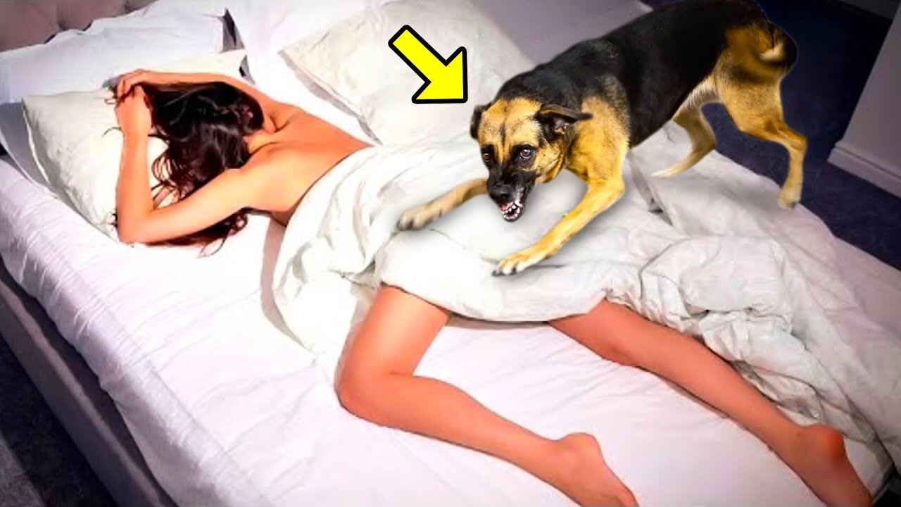 She Slept With Her Dog Every Night. Months Later, She Discovered Something Terrifying!