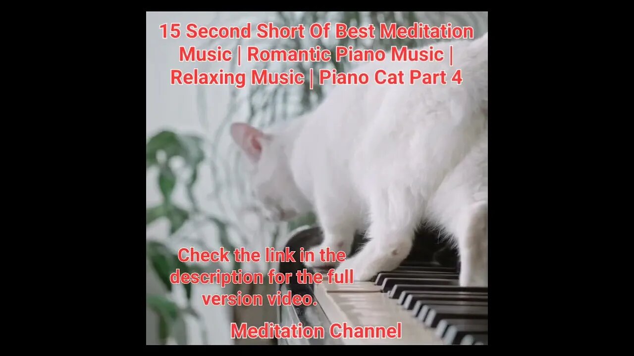 15 Second Short Of Best Meditation Music | Piano Music | Relaxing Music | Piano Cat Part 4 #shorts