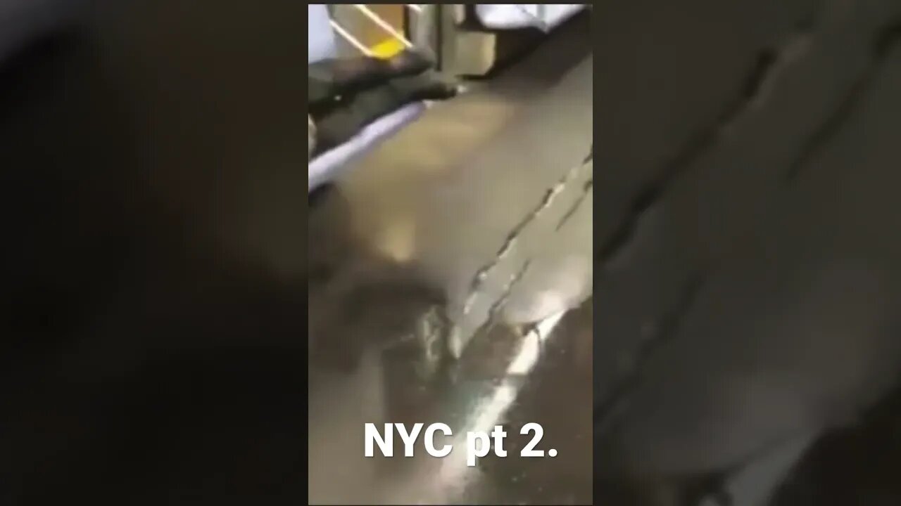 Reasons why you must live in NYC! Public transportation is phenomenal and clean