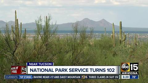 Visiting Saguaro National Park as the National Park Service turns 102