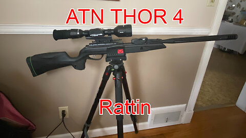 Atn Thor 4 night Rat hunt