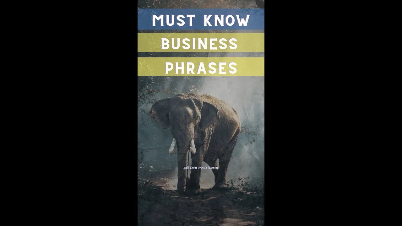 MUST KNOW Business Phrases (Elephant in the room)🤔 #shorts #BusinessEnglish