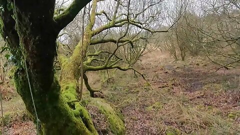 Putting up a ridgeline POV GOPRO 22nd March 2023