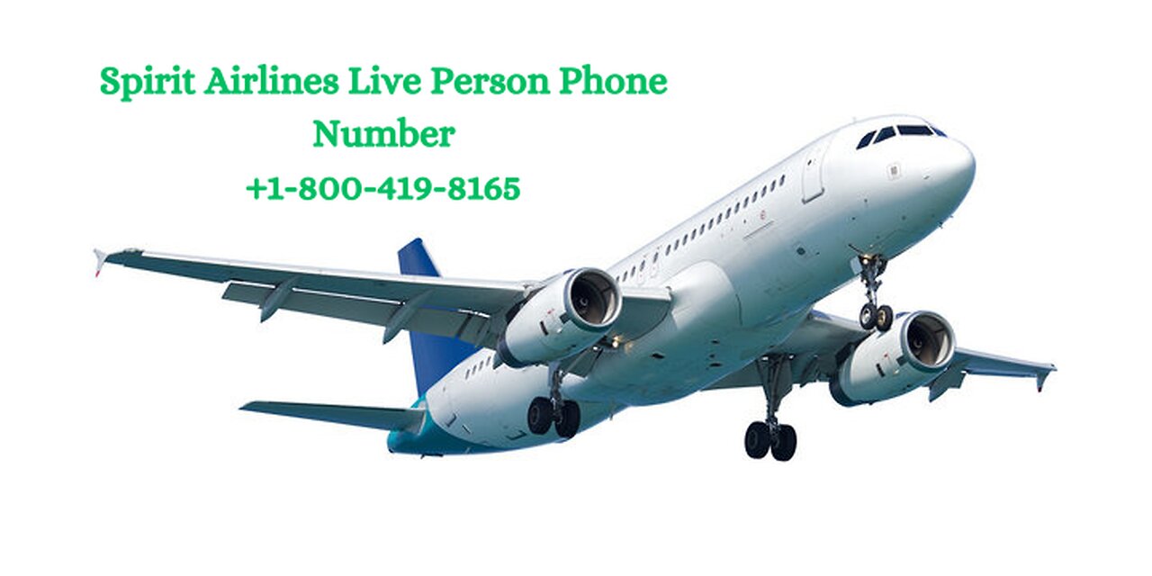 How to Contact Spirit Airlines Customer Service Live Person