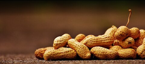 The Ultimate Survival Diet– The Yogic best food