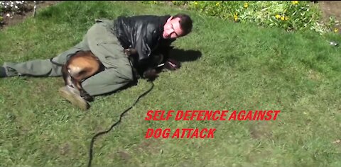 Self defense against dog's attack
