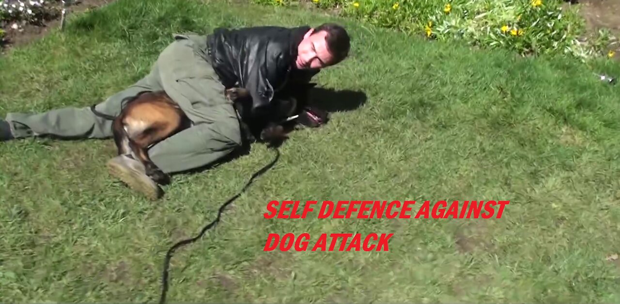 Self defense against dog's attack