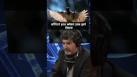 The Secret to Longevity in Nature: Flying, Poison, and Defense | Bret Weinstein & Joe Rogan #1494