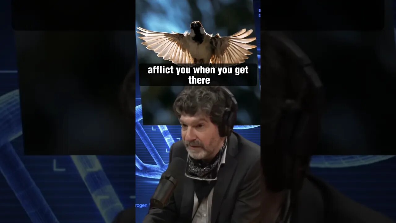 The Secret to Longevity in Nature: Flying, Poison, and Defense | Bret Weinstein & Joe Rogan #1494