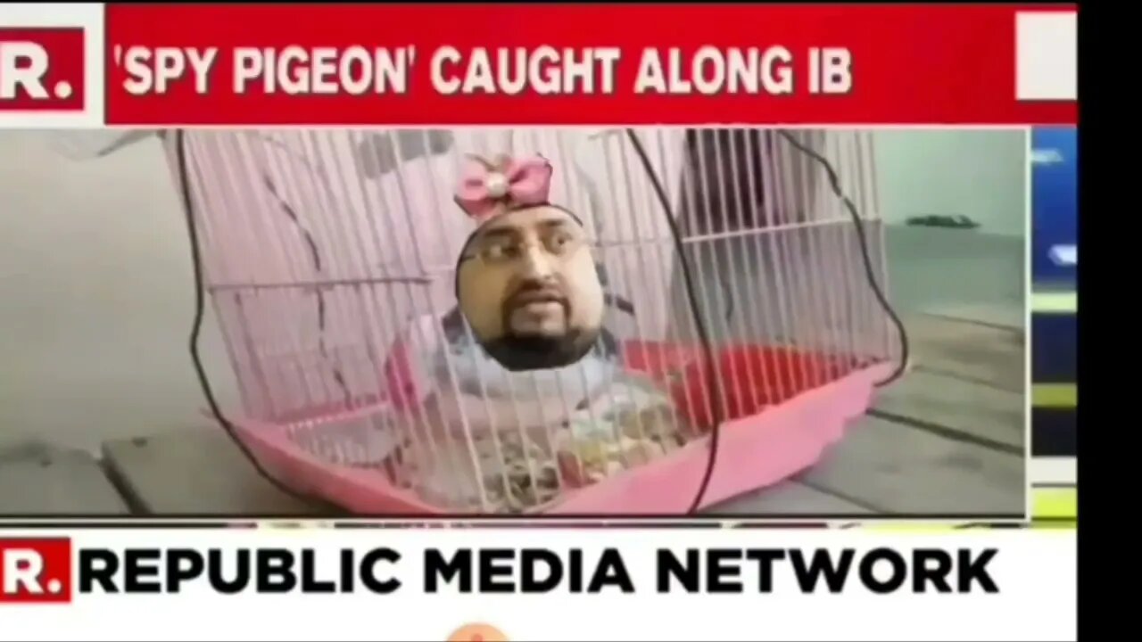 Flashback: Pakistan Want Their Pigeon Back 2020!