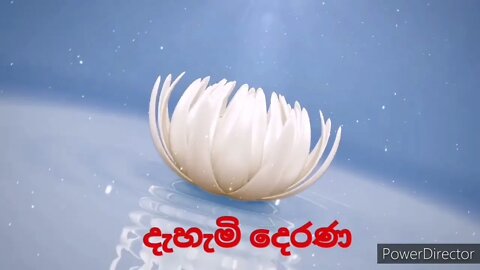 Dahami Derana intro @දැහැමි දෙරණ