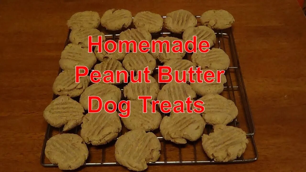 Quick and Easy Homemade Peanut Butter Dog Treats