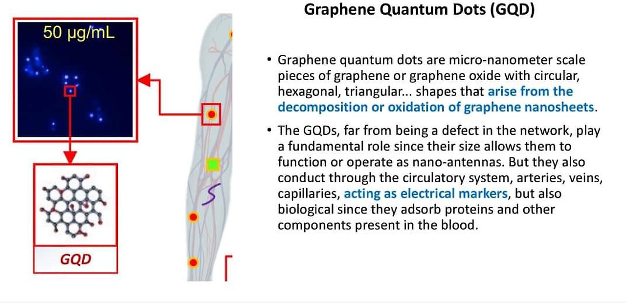 CDC whistle blower Susan Pierce is teaching on Nanotechnology in the body