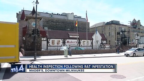 Mader's reopens following rat infestation