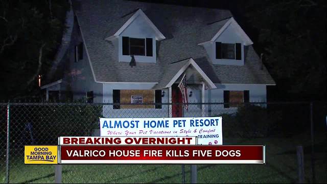 Five dogs die in house fire at Valrico pet resort