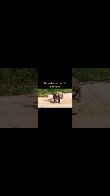 Most Amazing and trending video||relaxing your mind||trendig videos|| #shorts #trending #viral #live