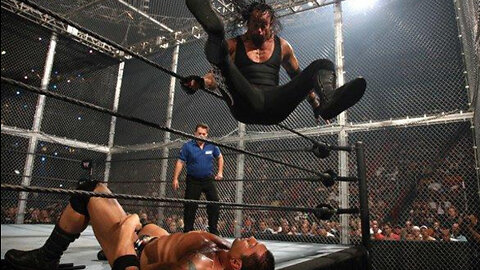 The Undertaker vs Batista Hell In A Cell Survivor Series 2007