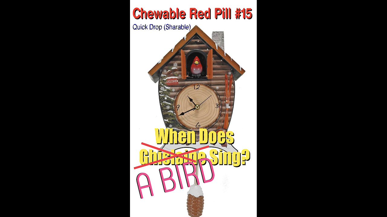 💊CHEWABLE RED PILL #15: 🐥When Does A Bird Sing? (Ghislaine)