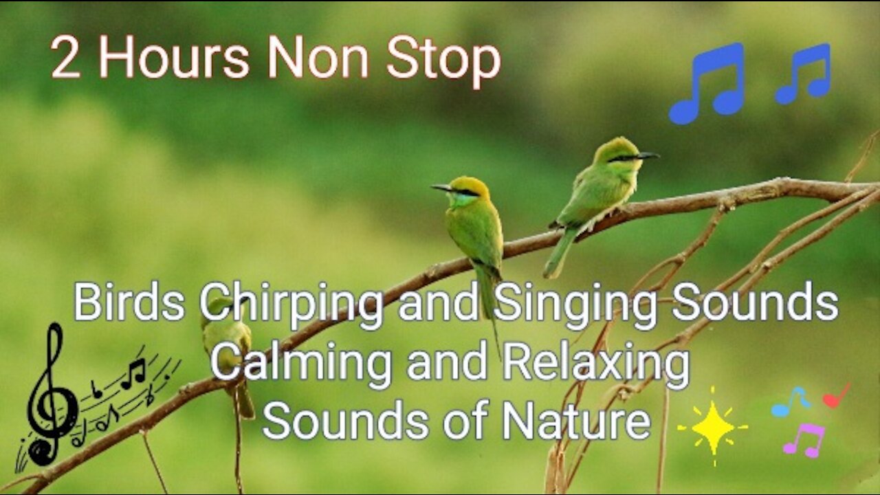 Birds Chirping and Singing (Calming and Relaxing for Deep Sleep or Just Relaxation and Focus)