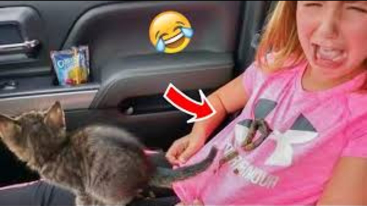 Funniest Cats 😹 - Don't try to hold back Laughter 😂 - Funny Cats Life