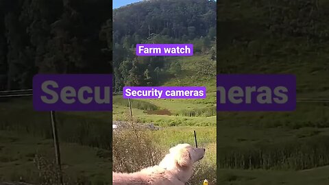 Farm monitoring Animals