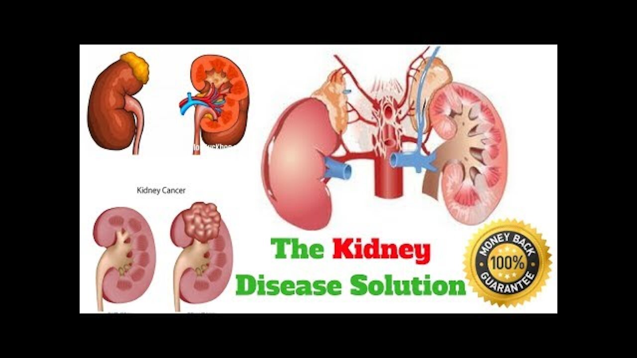 Kidney Disease Solution