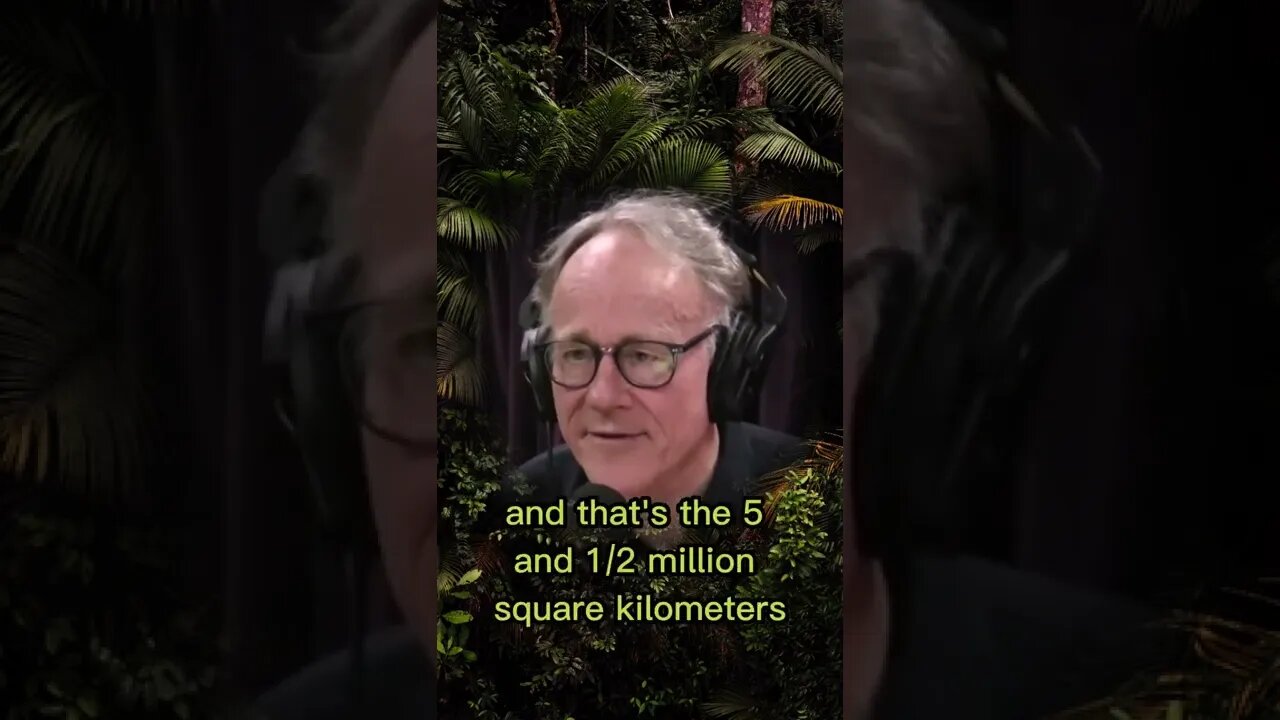 How big is the amazon forest? The Amazon forest is a colossal mystery - Joe Rogan & Graham Hancock
