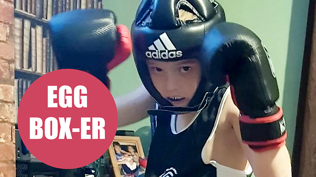 Nine-year-old boy who pocketed £8,000 flogging eggs quits job - to become a boxer