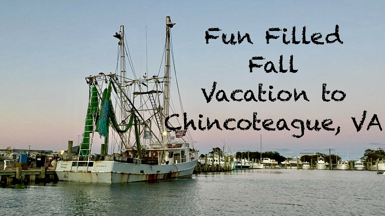 Sunsets, Wild Ponies, and Coastal Treasures: Our Chincoteague Fall Escape