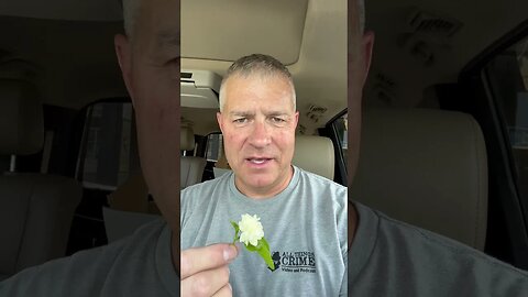 Amazing and Kind People Everywhere! #shorts