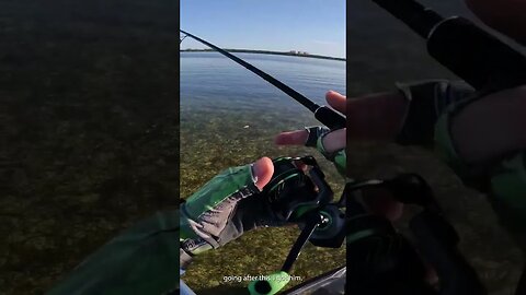 how to catch a fish EASY