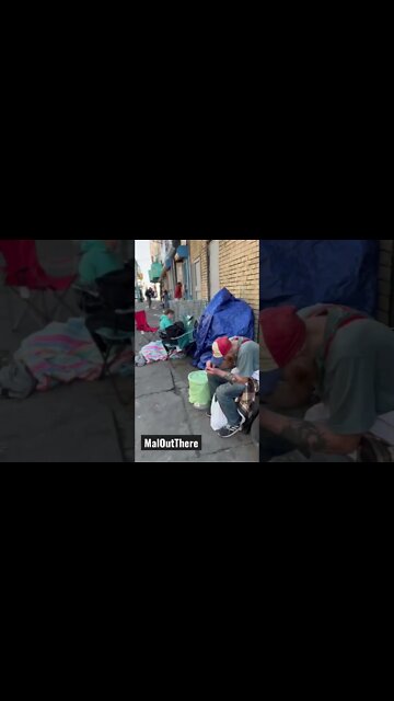 Documenting the struggle !