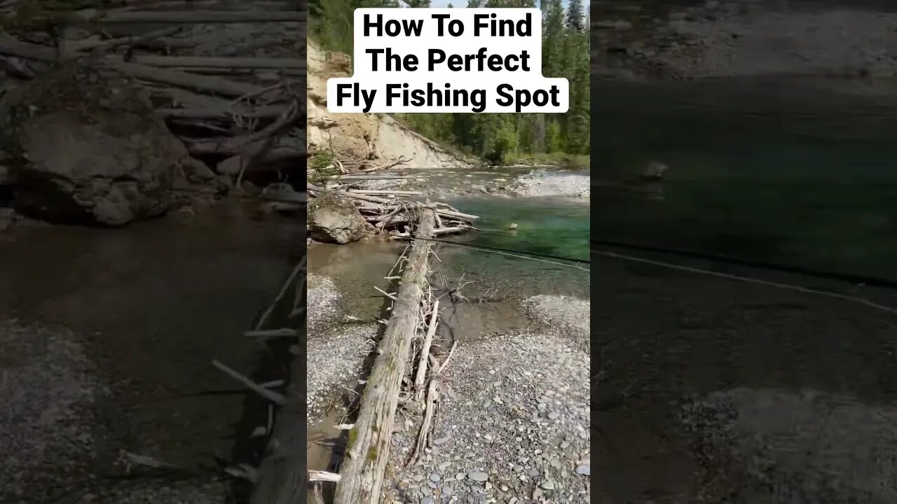 How to find the perfect fly fishing spot #flyfishing #fishing #perfect #adventure