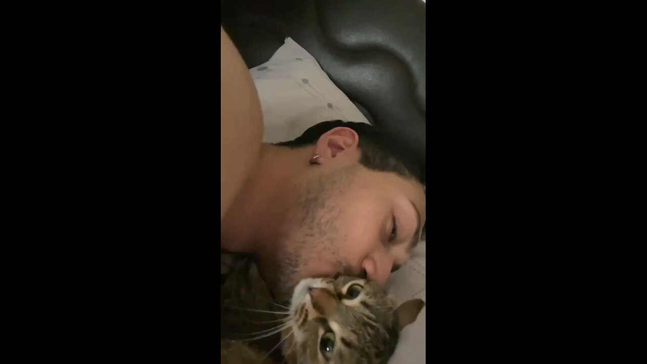 possessive cats owchπΊπππ€