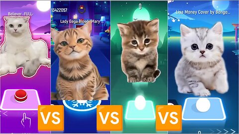 BELIEVER CAT VS BLOODY MARY CAT VS FLOWER CAT VS MONEY CAT | TILES HOP