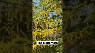 View of the Matterhorn in Zermatt, Switzerland!