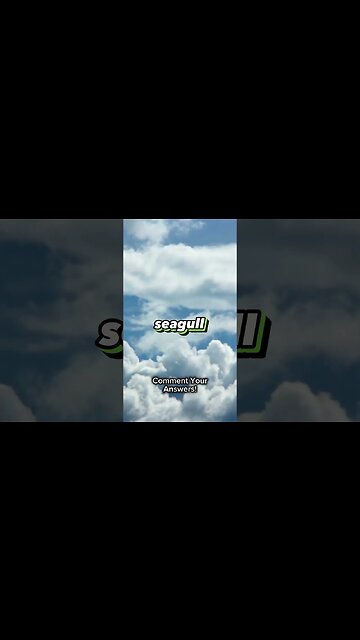 Seagull Carrying a Cow #whatif #funny #trending