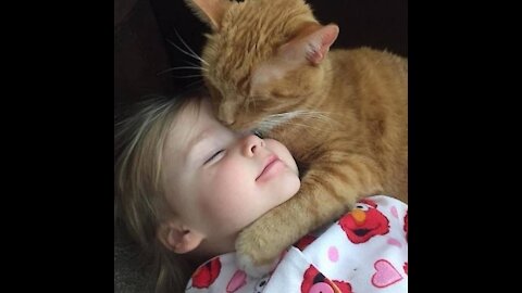 Why do my cat loves Cuddling? Huge fat facts!