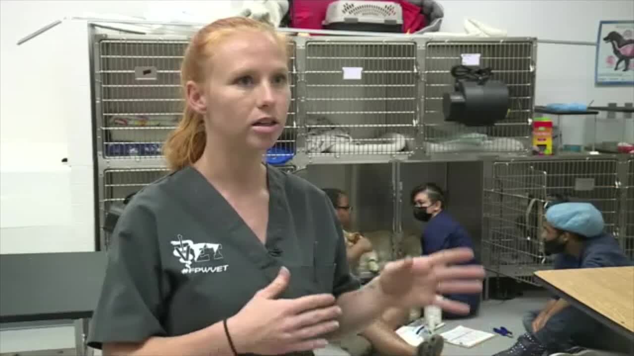 Teacher talks about Veterinary Assisting Program at Fort Pierce Westwood Academy