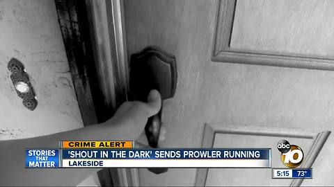 Shout in the dark sends prowler running