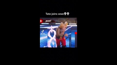 Andrew tate in wwe