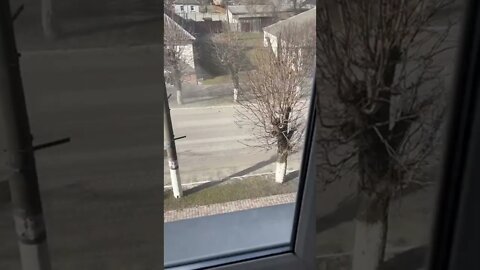 Ukraine War - Pantsir S1 in Ivankov