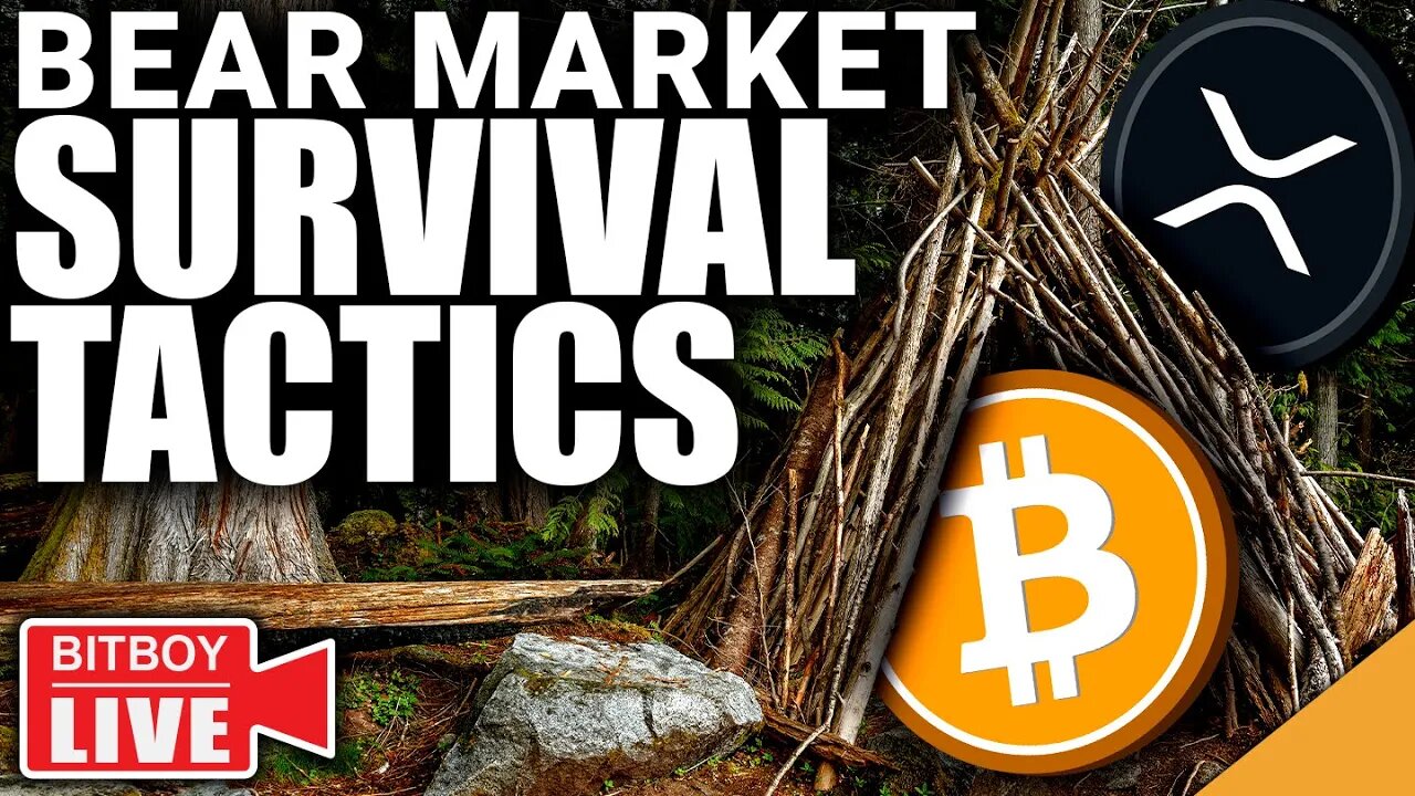 Bitcoin Bear Market SURVIVAL Tactics (INSANE XRP News)