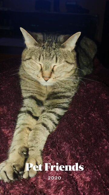 Our little man Dexter, yes after the serial killer