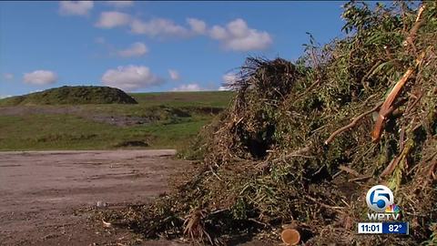 Plan for debris pick up in Palm Beach County