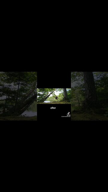 #jumping #ropehero #ytshortsvideo #ytshortscanada #lake #funday #storytime #giveback