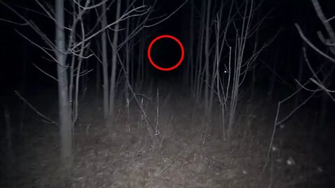 EXPLORING HAUNTED FOREST AT 3 AM! *SCARY* (CAUGHT ON CAMERA)