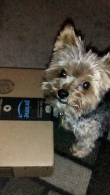 Biker Kash sounds like my motorcycle