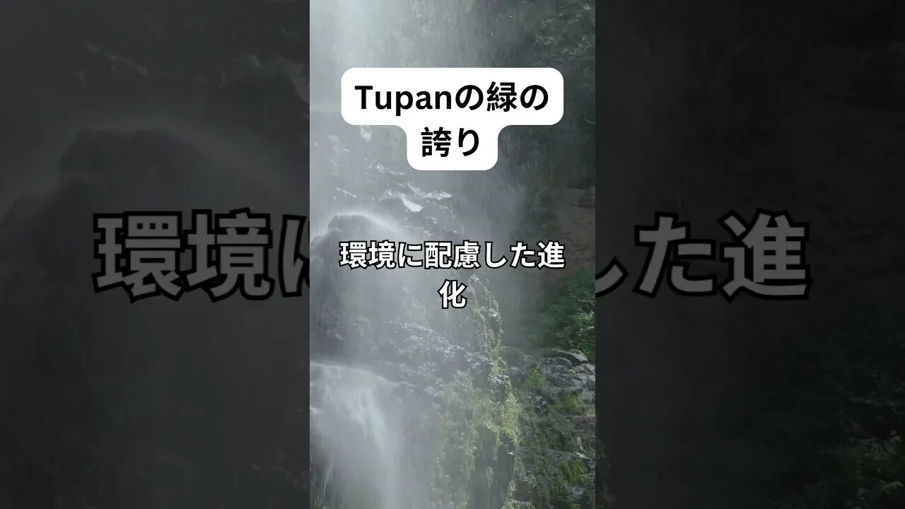 TUPANが熱帯雨林を守るのを一緒に助けましょう! 説明内のリンクをワンクリックするだけです。 助けて稼ごう！ #crypto #blockchain #tokenization #bitcoin